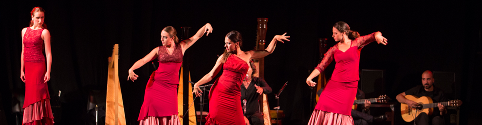 Flamenco a Roma | Lara Ribichini | Corsi di Flamenco