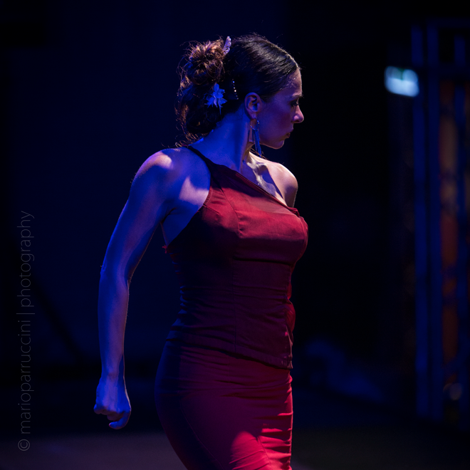 Flamenco a Roma | Lara Ribichini | Corsi di Flamenco