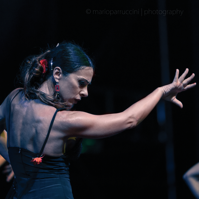 Flamenco a Roma | Lara Ribichini | Corsi di Flamenco